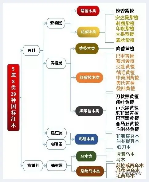 五分钟快速了解：红木到底是什么木头？ | 红木图片