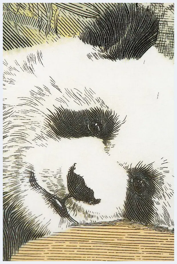 券中有画，画中有诗——赏大熊猫钞艺画有感 | 艺术品图片