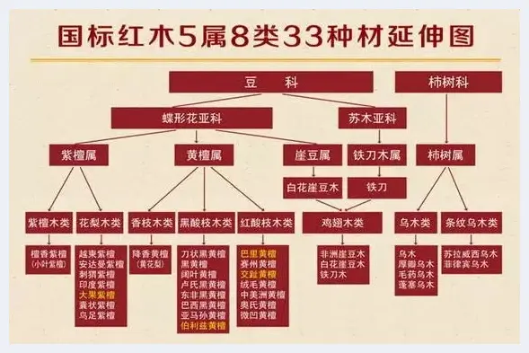 五分钟快速了解：红木到底是什么木头？ | 红木图片