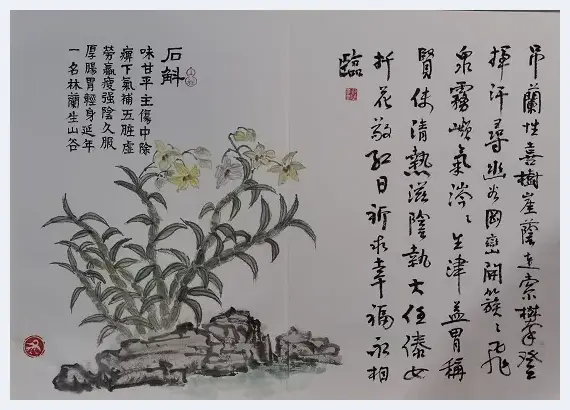 痴情韵语神农秘 着意丹青本草香  乐清名中医周朝进描绘《神农本草经》百味诗书画 | 艺术市场