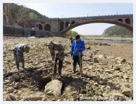 龙门石窟伊河段发现唐代菩萨半身像 | 美术品鉴赏