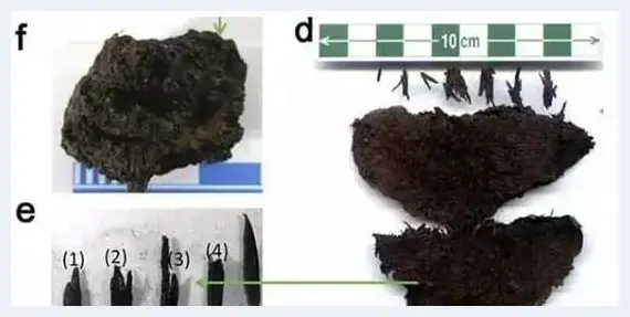 想了解文物考古 先给你下一碗4000年前的面条 | 美术品科普