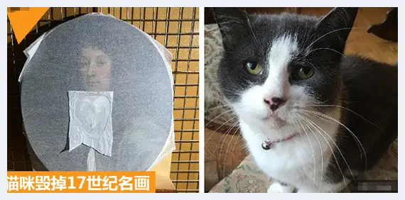 调皮猫咪毁掉17世纪名画 主人：它毫无悔意 | 艺术品资料