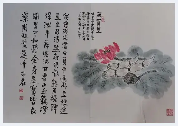 痴情韵语神农秘 着意丹青本草香  乐清名中医周朝进描绘《神农本草经》百味诗书画 | 艺术市场