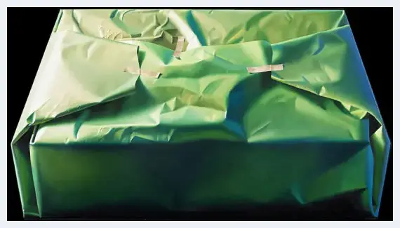 艺术家绘3D版带褶皱的包装纸：网友直呼想拆开 | 美术品档案