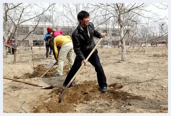 同种一棵木槿树 共为冬奥添光彩 | 美术品知识