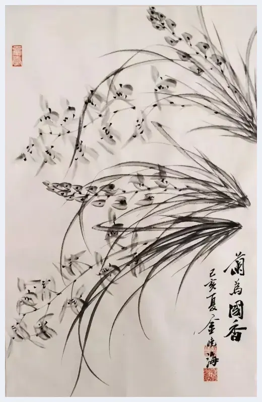 兰花才子——著名画家金晓海先生的兰花作品 | 美术理论