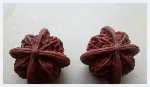 文玩界的隐藏杀手 还有什么是塑料不能仿的 | 艺术品资讯