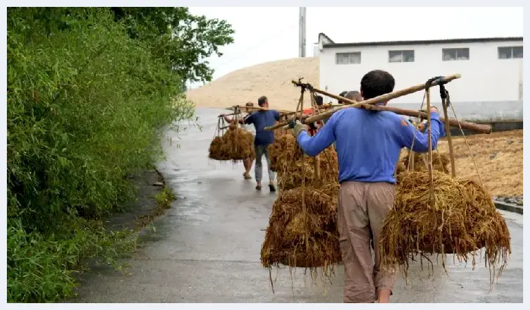 中国科大宣纸创意作品“见微知纸”被世界技能博物馆永久收藏 | 美术品市场