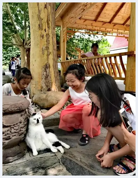 马未都：我的博物馆你没来不能想象 来了不能复述 | 美术教学