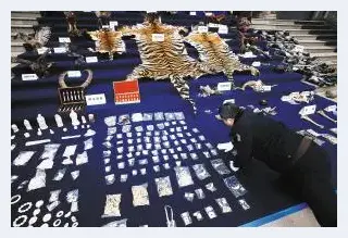 昆明工艺品店店主倒卖虎皮象牙 | 艺术品知识