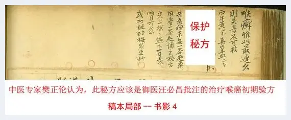 御医孤本藏药神 治疗癌症中药方此处寻 | 艺术品杂谈