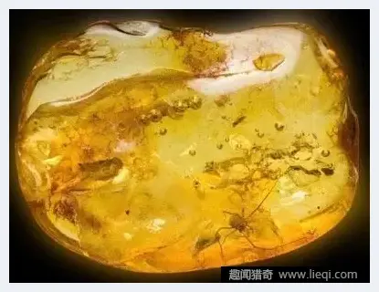 琥珀中发现距今4000万年史前蜘蛛 | 玉器作品