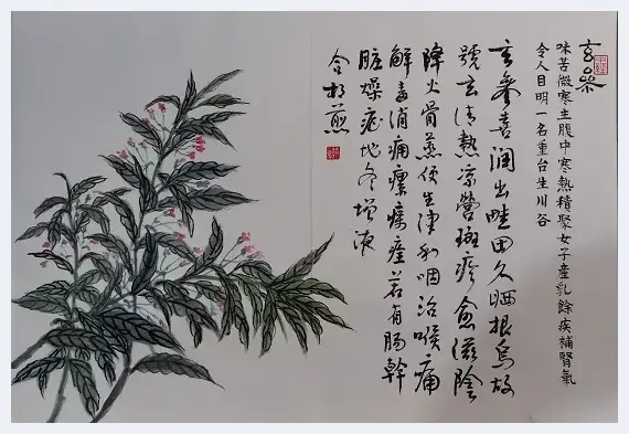 痴情韵语神农秘 着意丹青本草香  乐清名中医周朝进描绘《神农本草经》百味诗书画 | 艺术市场