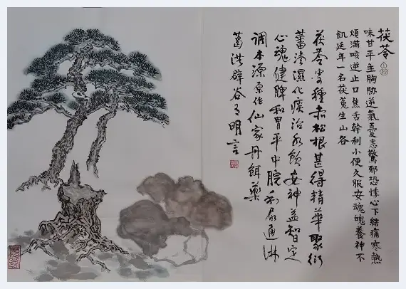 痴情韵语神农秘 着意丹青本草香  乐清名中医周朝进描绘《神农本草经》百味诗书画 | 艺术市场