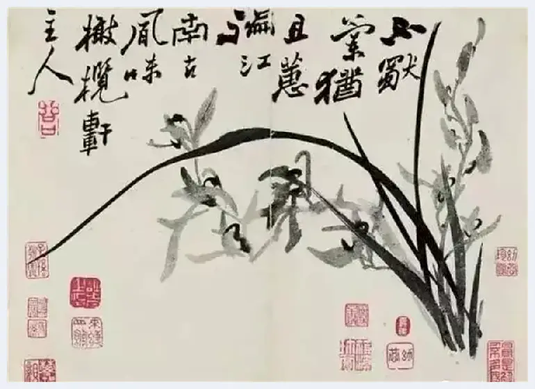 从历代画兰名家到当代兰花才子——金晓海 | 美术观点