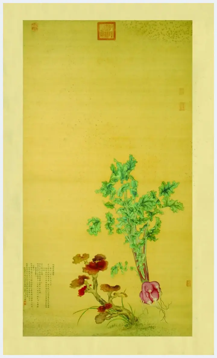 宫廷画师笔下的瓜果蔬菜 | 美术品知识