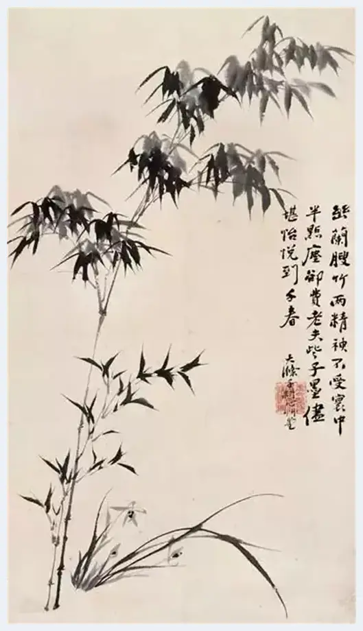 从历代画兰名家到当代兰花才子——金晓海 | 美术观点