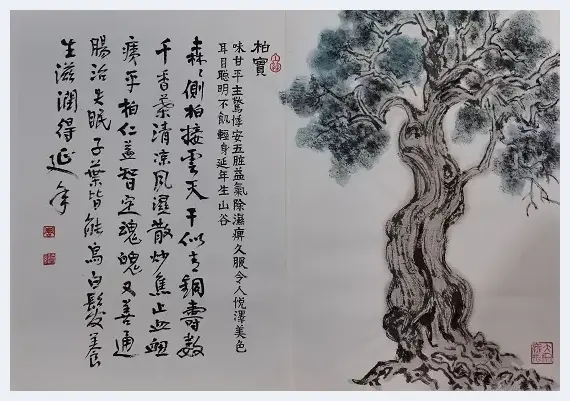 痴情韵语神农秘 着意丹青本草香  乐清名中医周朝进描绘《神农本草经》百味诗书画 | 艺术市场