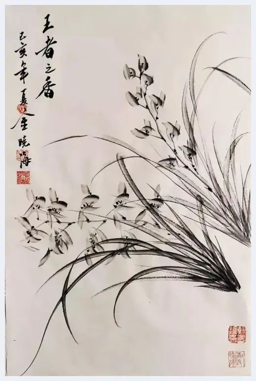 兰花才子——著名画家金晓海先生的兰花作品 | 美术理论