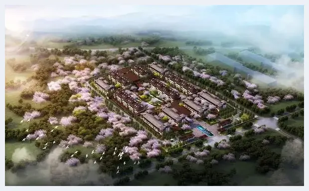 文化不苦旅——中国建筑文化特殊贡献者姜靖波 | 美术品档案