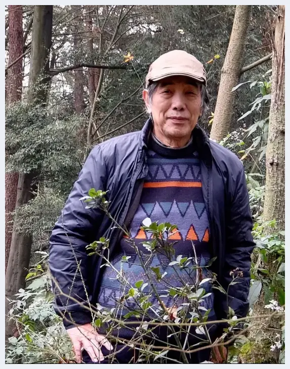 “画里青山便是家”近读名家名作——画家杨必位 | 艺术常识