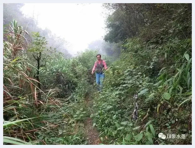 致敬毛泽东 · 诗书画四则之三《润之乐山》 | 艺术百科