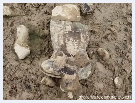 龙门石窟伊河段发现唐代菩萨半身像 | 美术品档案