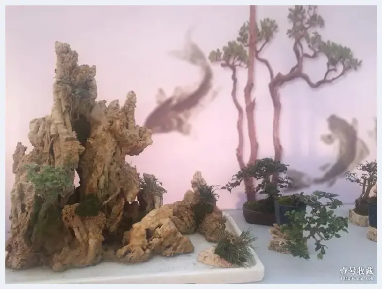 居家有盆景，野趣入门庭——武汉徐东古玩城小微盆景花卉展销会 | 艺术品市场