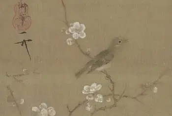 赏析丨梅花与绣眼鸟[图文]