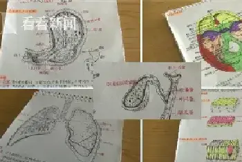 大二女生手绘医学笔记走红 手绘解剖图似书本插画[图文]