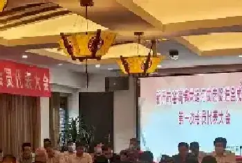 新沂窑湾大运河文艺促进会成立大会在古镇窑湾举行[图文]