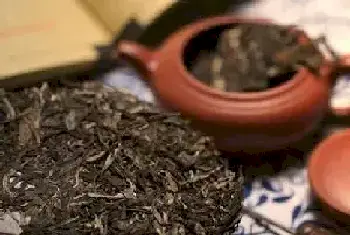 闲话闲说老普洱：茶文化中的一朵奇葩[图文]