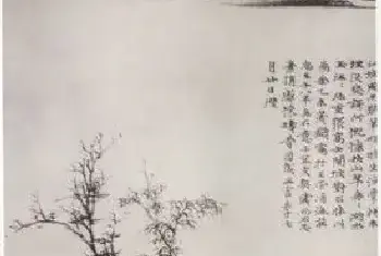 孤寂中的理想[图文]