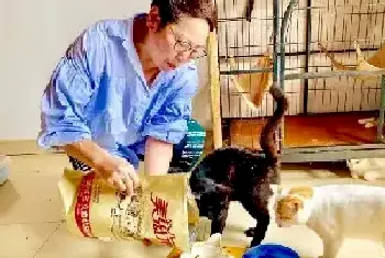 「晶羚专访」张润萍和她温暖的猫[图文]