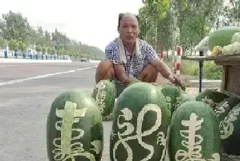 农民在西瓜上写书法[图文]