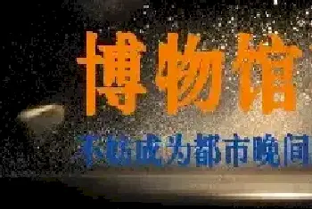 专家呼吁：博物馆夜场整体开放！[图文]