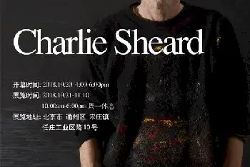 抽象的逻辑——关于Charlie Sheard 的绘画[图文]