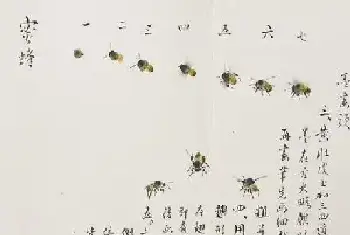 清芬逸珠 永存画史[图文]