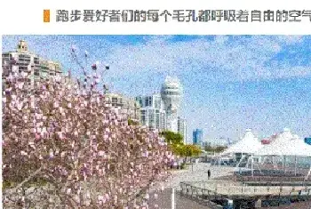 上海艺术行业复工 行业复苏路漫且长[图文]